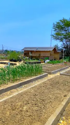Green Lab Sekolah Alam Citra Insani 0
