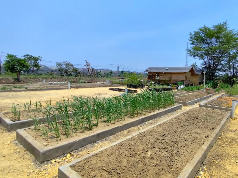 Green Lab Sekolah Alam Citra Insani 1