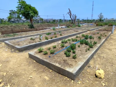 Green Lab Sekolah Alam Citra Insani 3