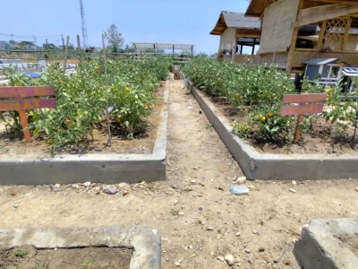 Green Lab Sekolah Alam Citra Insani 4