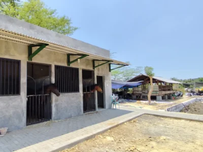 Kandang Kuda Sekolah Alam Citra Insani