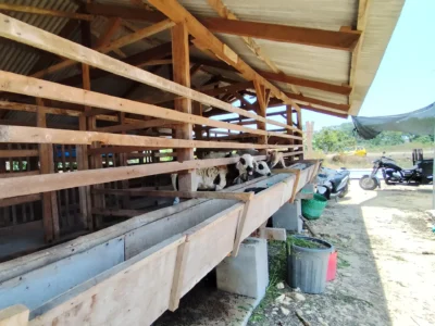 Kandang Ternak Sekolah Alam Citra Insani