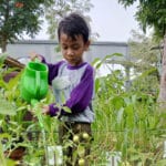 Aktivitas sedekah alam