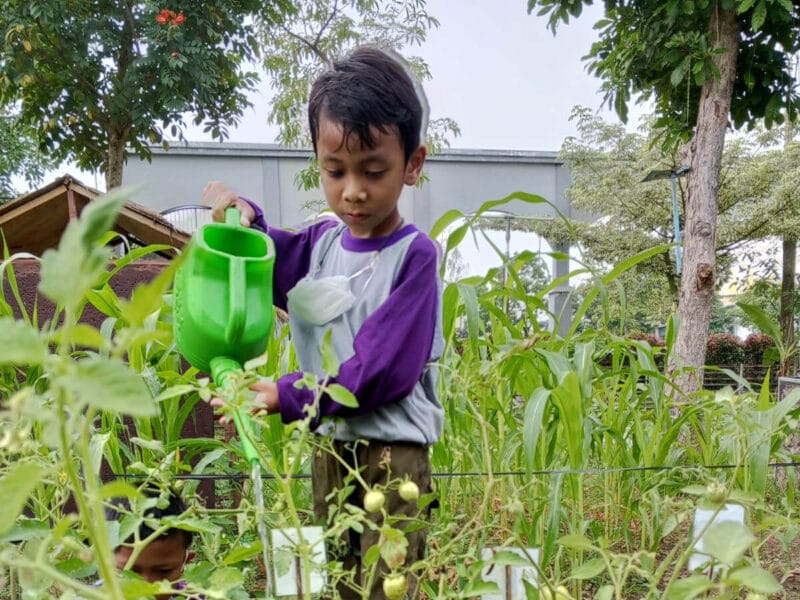Aktivitas sedekah alam