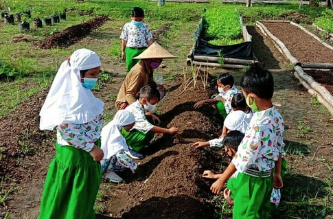 Siswa SD Alam Citra Insani sedang berkebun